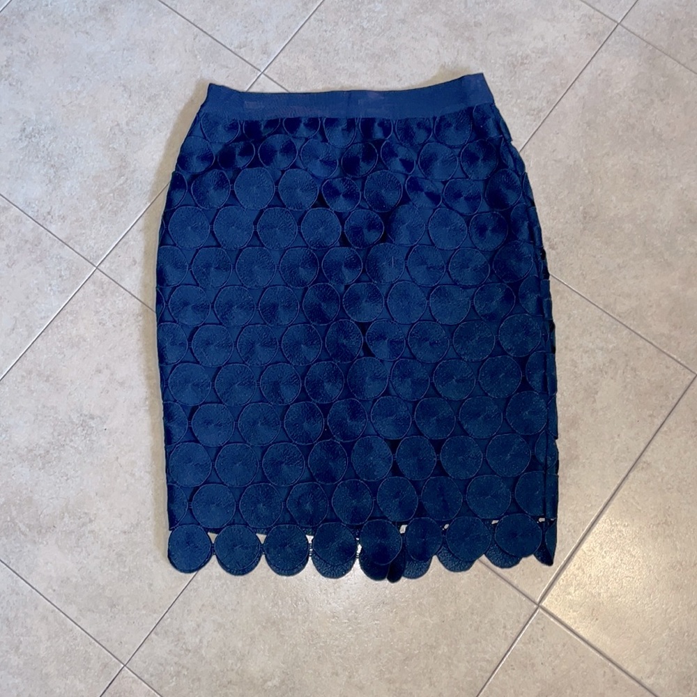 Ann Taylor skirt